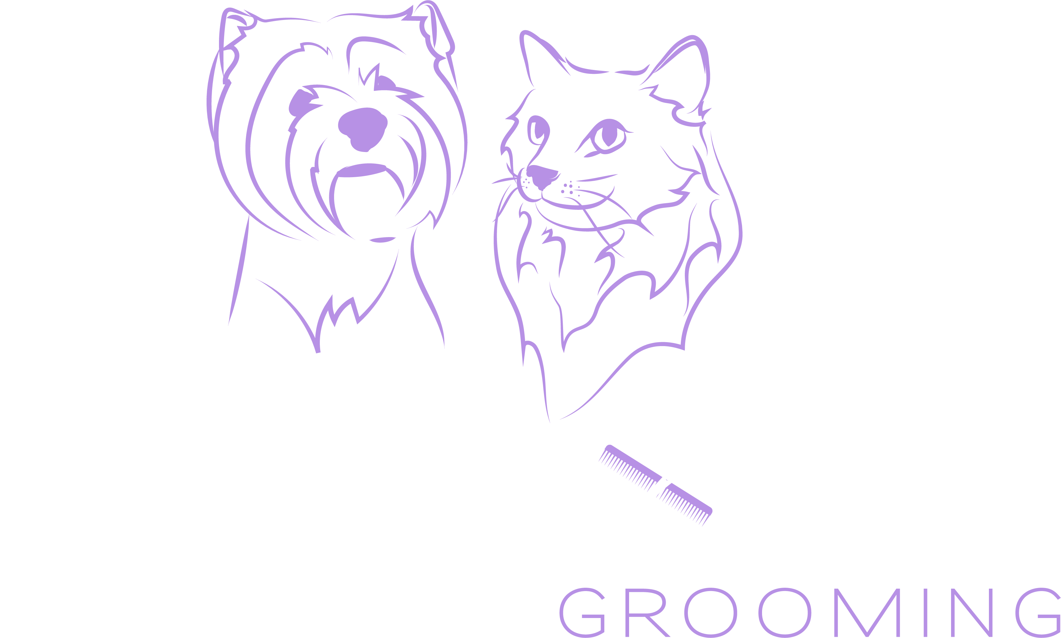 Lexie's Cat Grooming